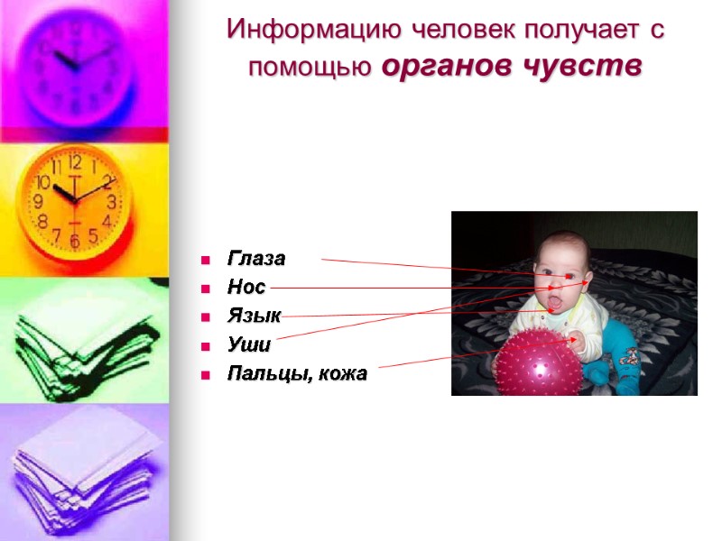 Информацию человек получает с помощью органов чувств      Глаза Нос